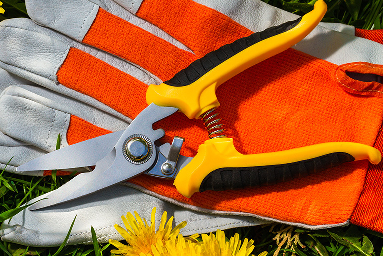 Garden shears featuring plastic overmolded on metal